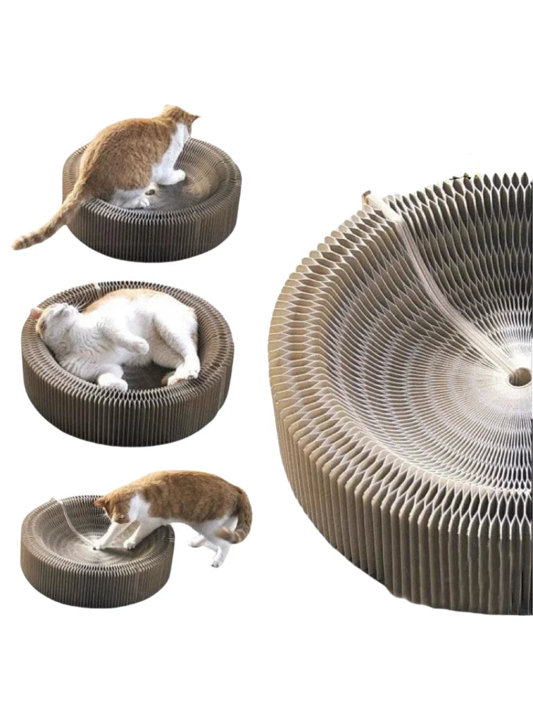 Velzora™ PawCurl Interactive Scratcher