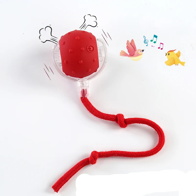 Velzora™ MotionPaw Rolling Toy