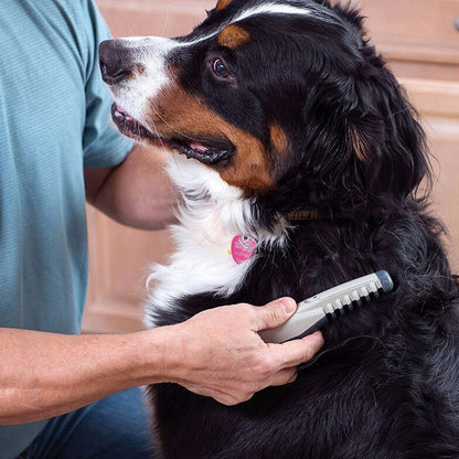 Velzora™ FurPulse Electric Brush
