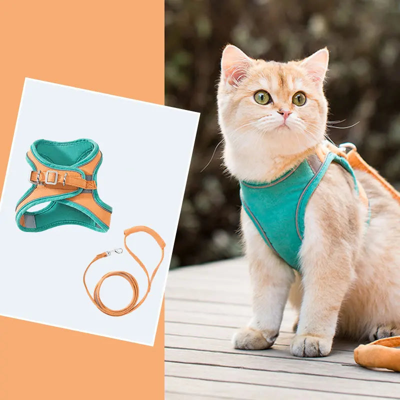 Velzora™ LumaPaw Harness Set