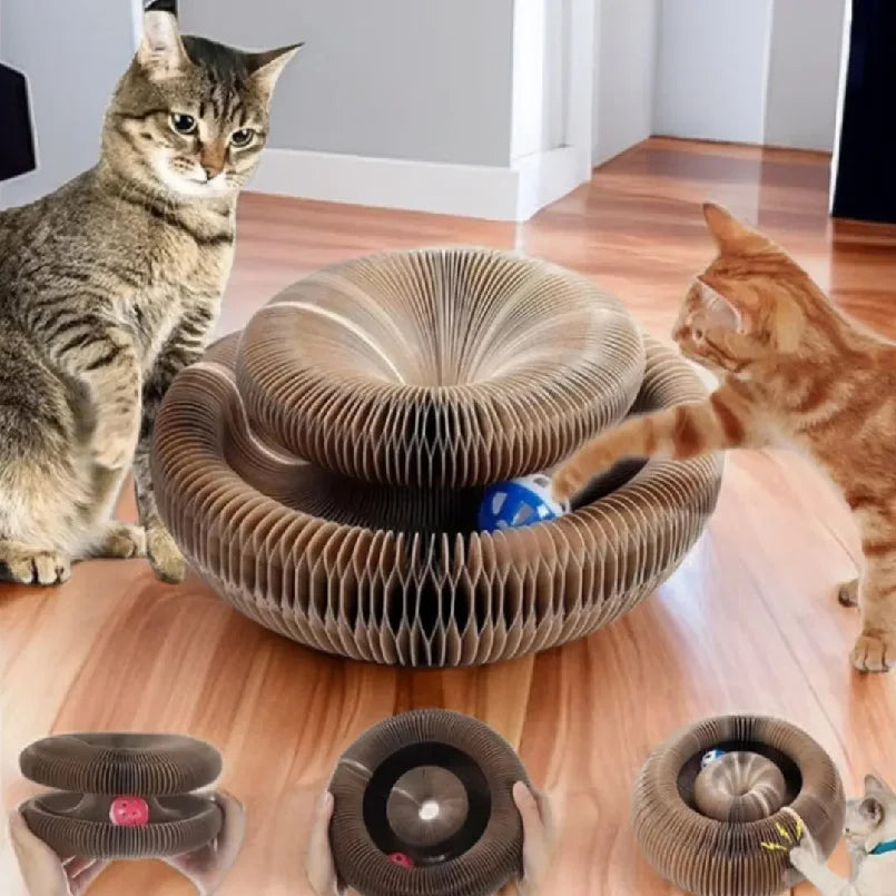 Velzora™ PawCurl Interactive Scratcher