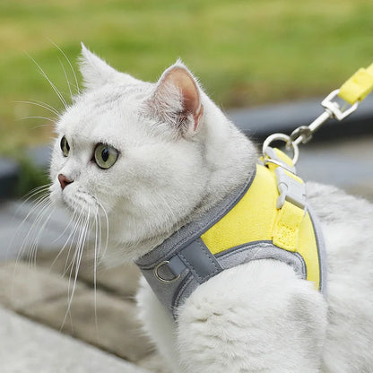 Velzora™ LumaPaw Harness Set