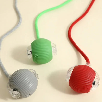 Velzora™ MotionPaw Rolling Toy