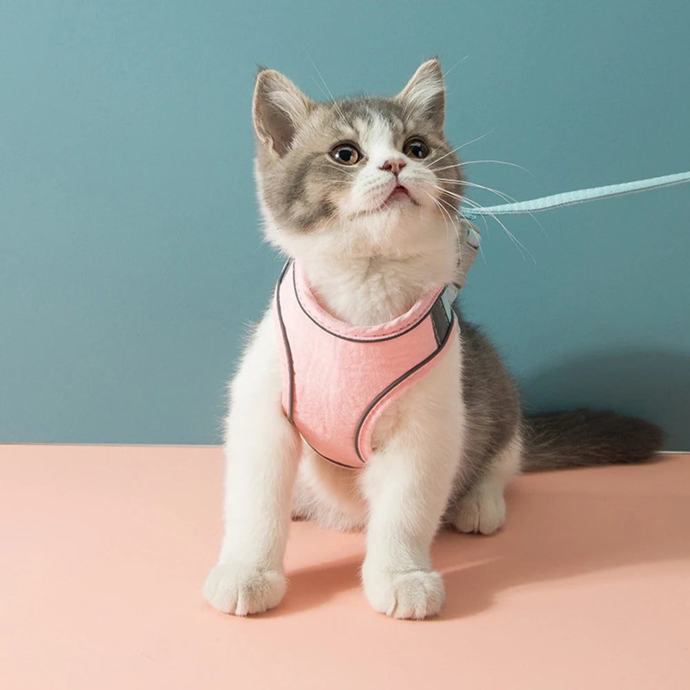 Velzora™ LumaPaw Harness Set