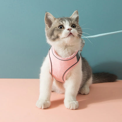 Velzora™ LumaPaw Harness Set