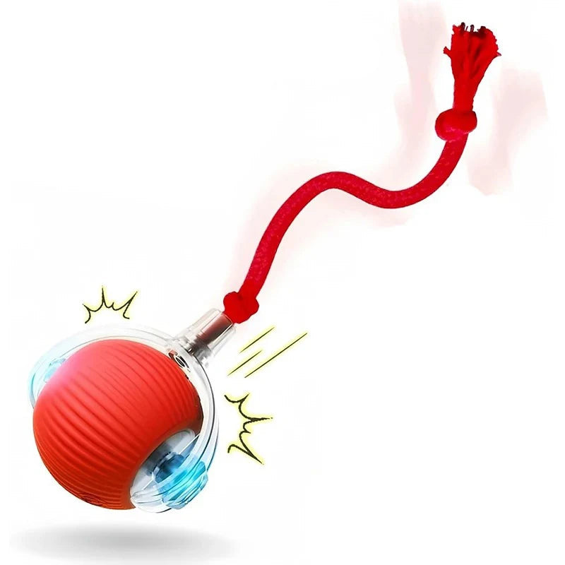 Velzora™ MotionPaw Rolling Toy