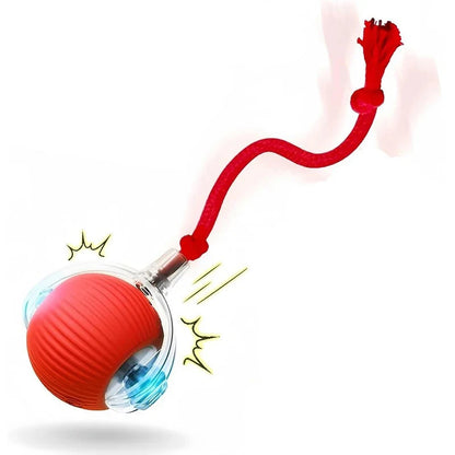 Velzora™ MotionPaw Rolling Toy