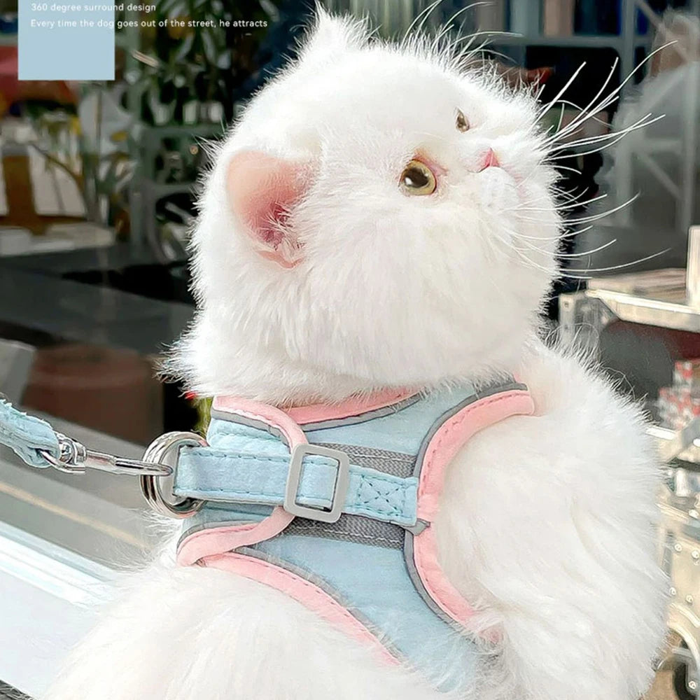 Velzora™ LumaPaw Harness Set