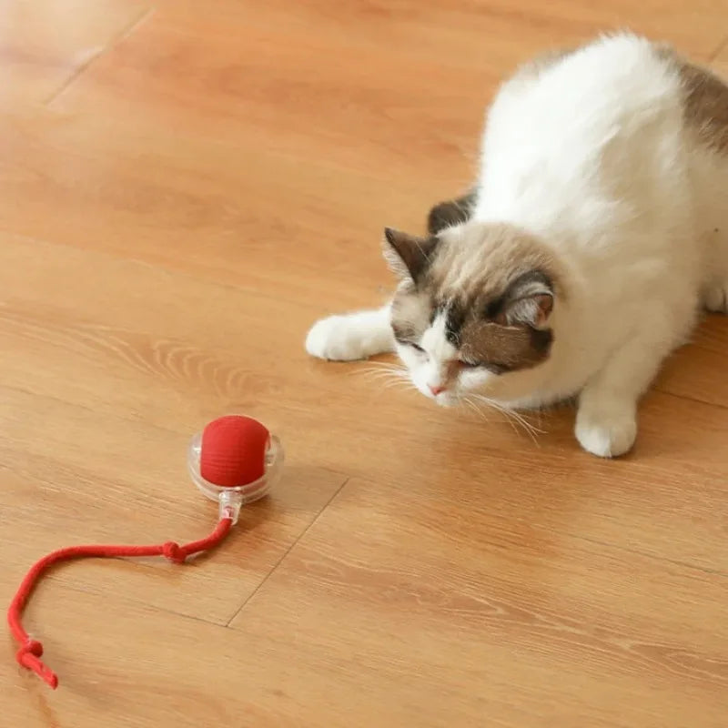Velzora™ MotionPaw Rolling Toy