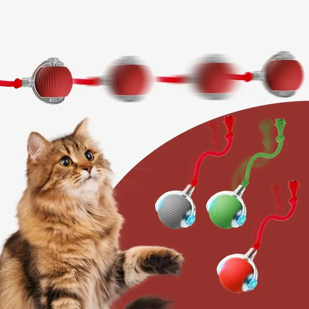 Velzora™ MotionPaw Rolling Toy