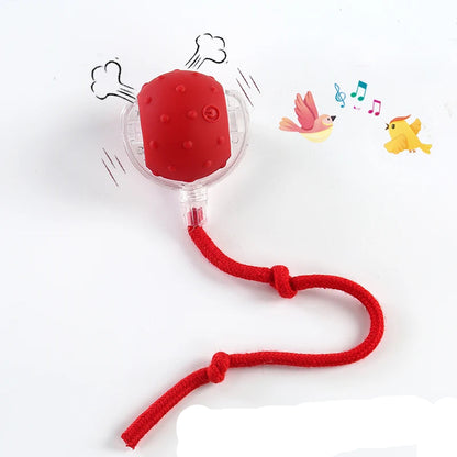 Velzora™ MotionPaw Rolling Toy