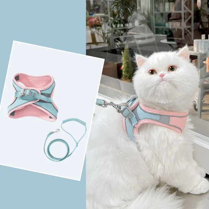 Velzora™ LumaPaw Harness Set