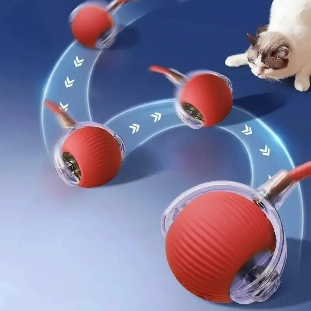 Velzora™ MotionPaw Rolling Toy