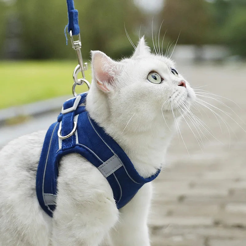 Velzora™ LumaPaw Harness Set